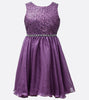 Bonnie Jean purple sequin and shimmer dress