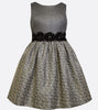 beautiful girls party dress silver